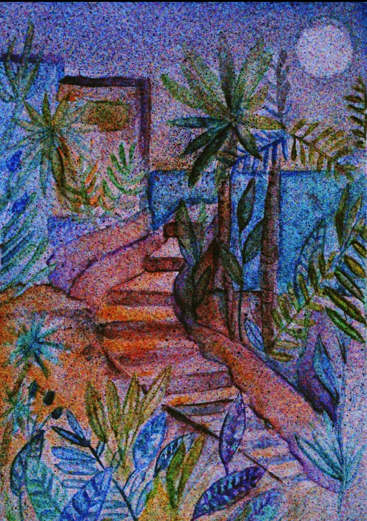 Chemin et pergola dans un jardin coloré